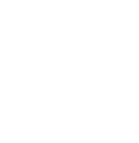 Jéromine Parmentier photographe